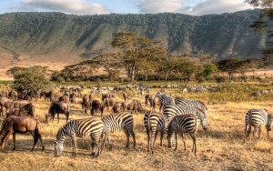 Ngorongoro Crater, Tanzania