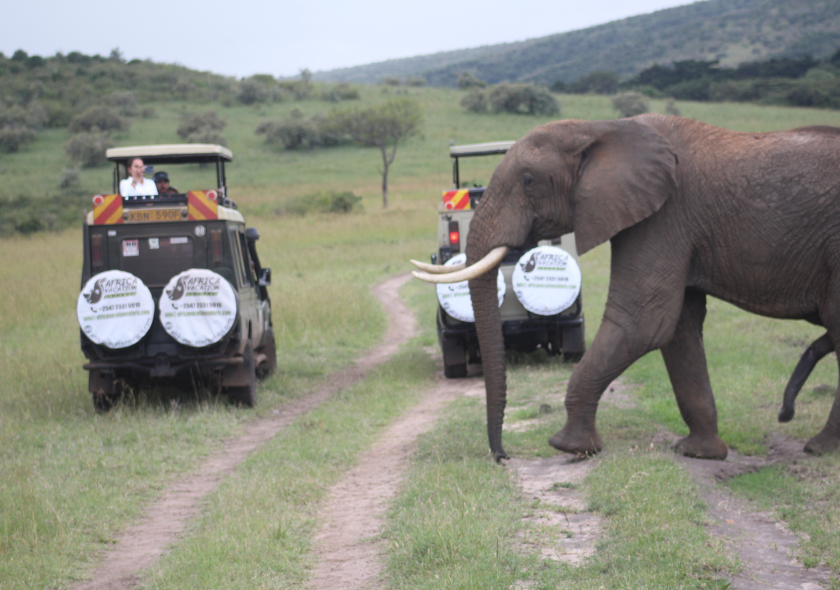 Masai Mara National Reserve