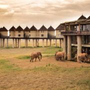 Tsavo East and Taita Hills Safari | Africa Vacation Safaris