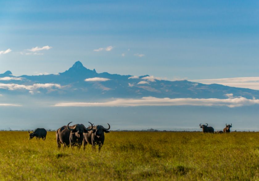 Mt Kenya