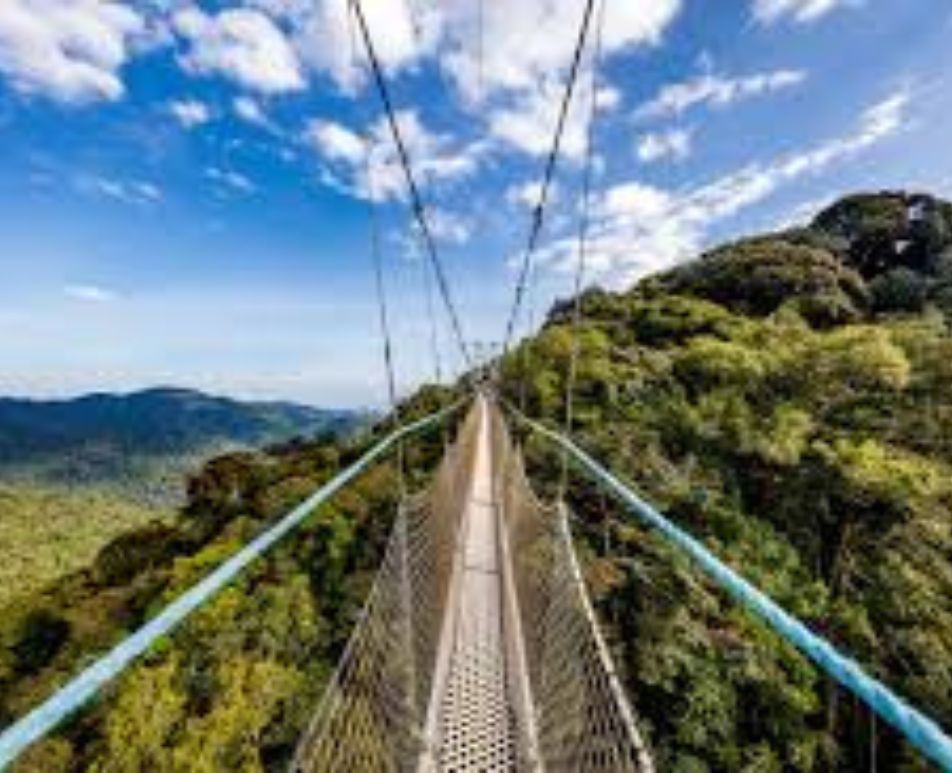 Destination Rwanda Nyungwe Canopy Walks