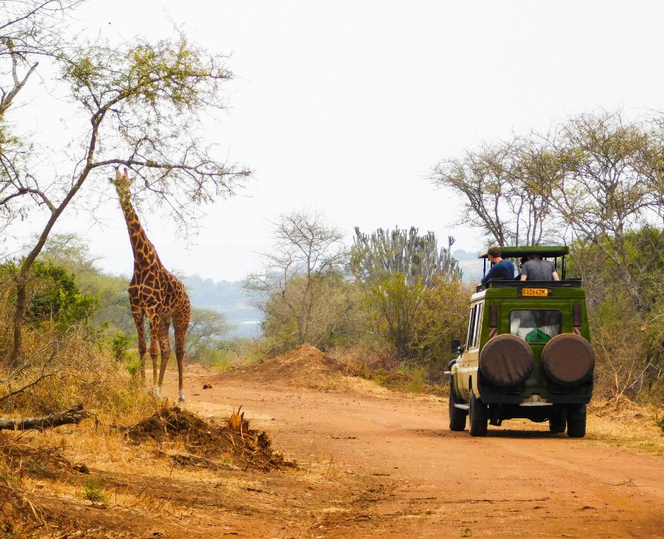 Destination Rwanda Rwanda Safaris
