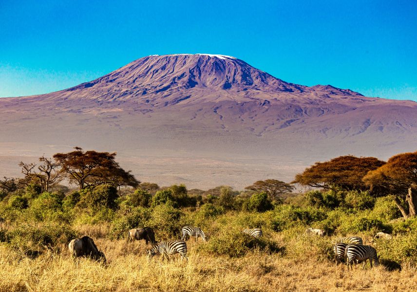 Tsavo and Amboseli Safari Kilimanjaro Views from Amboseli