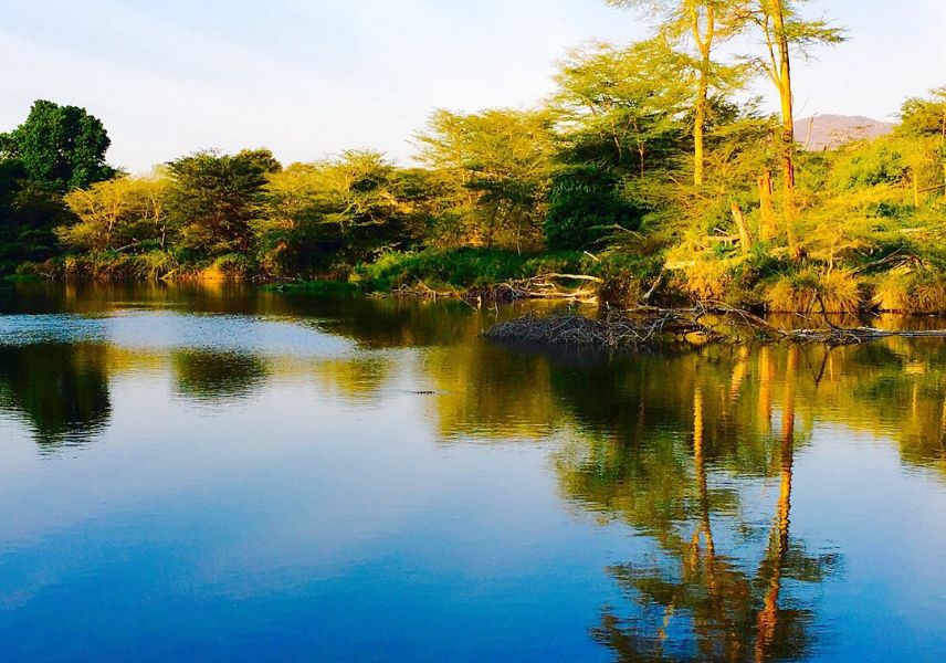 Tsavo and Amboseli Safari | Mzima Springs 
