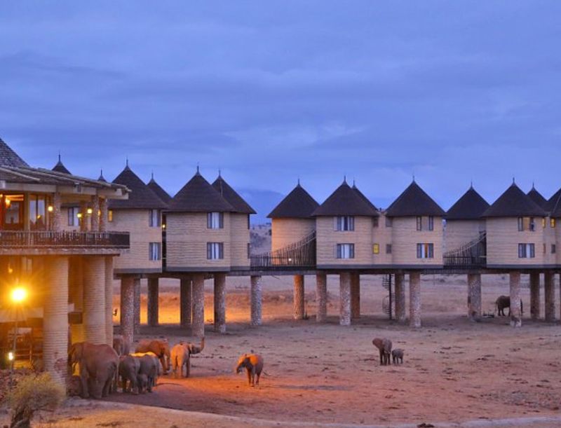 Salt Lick and Tsavo Safari