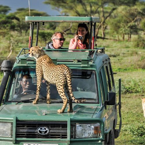 Kenya Tanzania Safari Combined