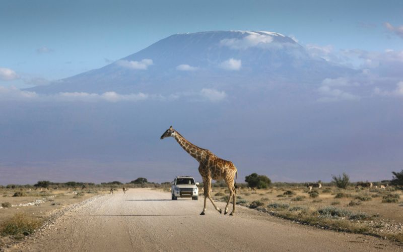 Welcome to Kenya; Amboseli