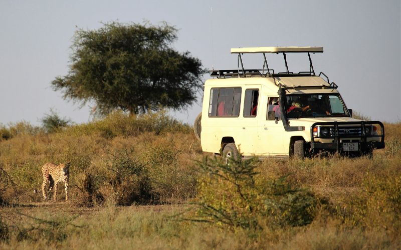 National Parks and Reserves in Kenya