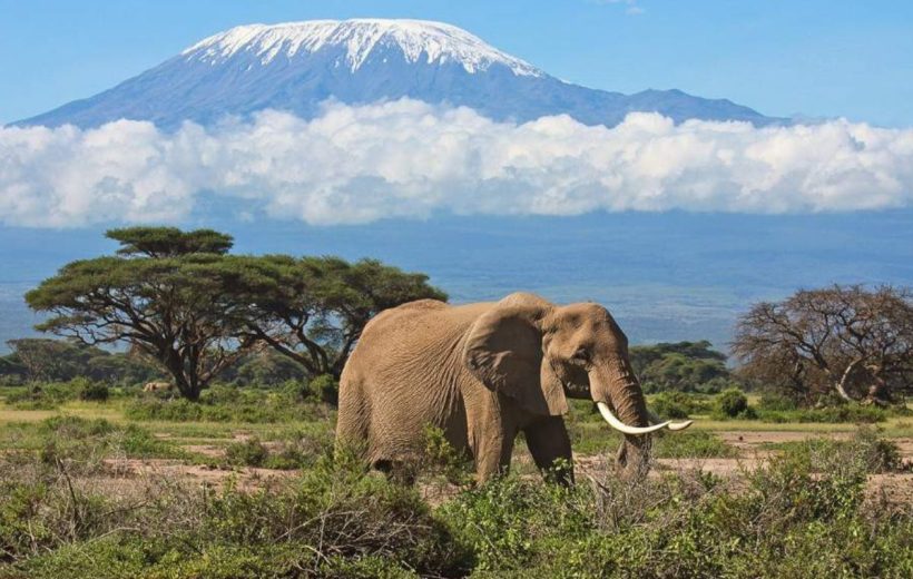 7 Days Kenya Safari - Amboseli, Naivasha, Nakuru and Masai Mara