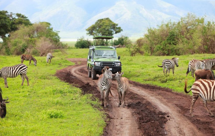 Ultimate East African Adventure: A 10-Day Kenya and Tanzania Safari Extravaganza