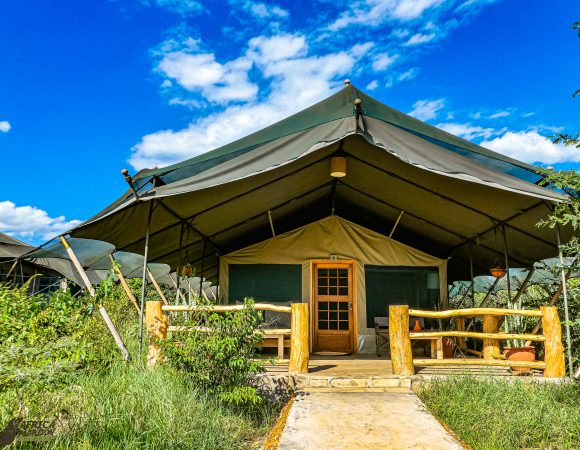 5 Midrange and Luxury lodges in Masai Mara for under $600 dollars per night